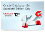 OracleDBStandad__56033