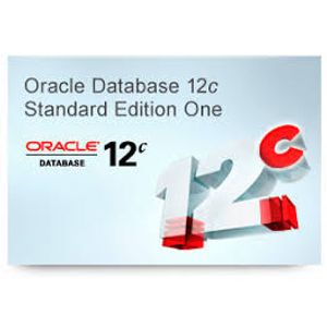 Oracle Database Standard Edition 2